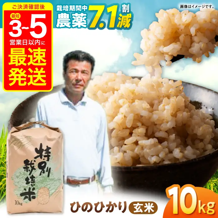 【R7年産】ひのひかり 玄米 10kg 玄米 AHAS004