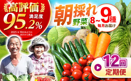 野菜 12回定期便  諫早産野菜の詰め合わせ 8～9品目程度 [AHDI003]