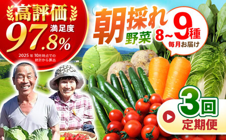 野菜 3回定期便 諫早産野菜の詰め合わせ8〜9品目程度 [AHDI001]