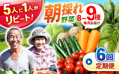 野菜定期便【全6回定期便】諫早産野菜の詰め合わせ 8〜9品目程度 / 野菜 やさい 旬野菜 旬 新鮮 詰合せ セット たまねぎ なす トマト れんこん きのこ 大根 / 諫早市 / 肥前グローカル株式会社 [AHDI002]