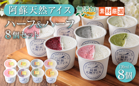 阿蘇天然アイス　ハーフ&ハーフ　8個セット