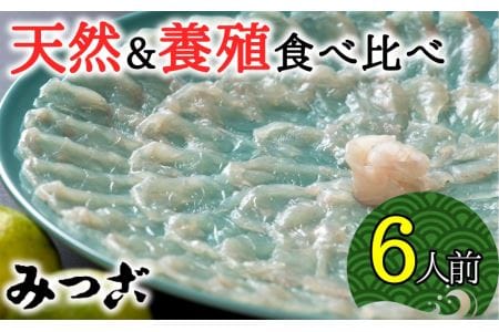 贅沢な食べ比べ！みつごの天然と養殖とらふぐセット（計６人前）［天然と養殖　各３人前］
