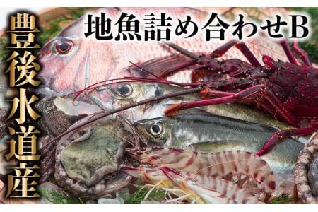 うすき豊後水道物語　豊後水道うすき地魚詰め合わせＢ