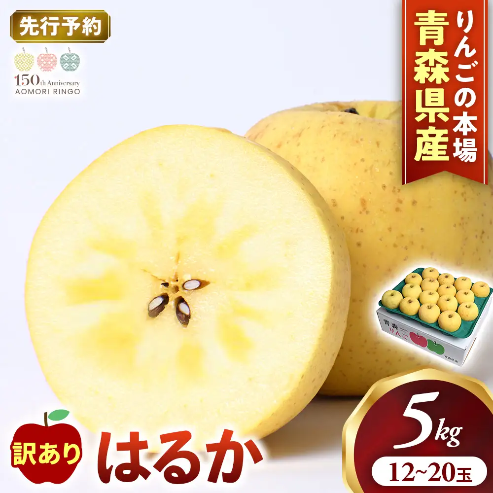 【訳あり】 青森県産りんご はるか 約5kg 12月上旬～ りんご
