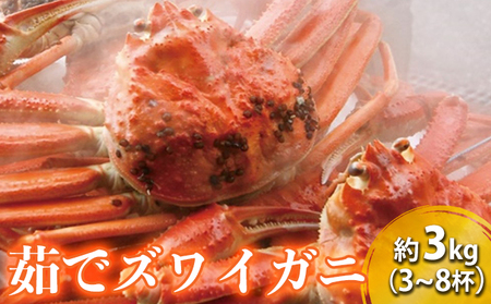 茹で ズワイガニ 約3kg (3～8杯) セット 詰め合わせ 脚折れ含む カニ 蟹 かに 茹でカニ ずわい蟹 ずわいがに カニセット 魚介 魚介類 海鮮 海鮮セット 福井 福井県 若狭町