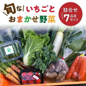 旬ないちごとおまかせ野菜詰合せ7品目セット_旬 いちご 250g おまかせ 野菜 詰合せ セット 食べ頃 6品目 玉ねぎ 人参 大根 カブ サニーレタス なす キュウリ トウモロコシ ヤングコーン ケール 赤水菜 パクチー ピーマン 赤大根 サトイモ さつまいも 新鮮 食品 お取り寄せ 福岡県 久留米市 送料無料 〔Gv021〕