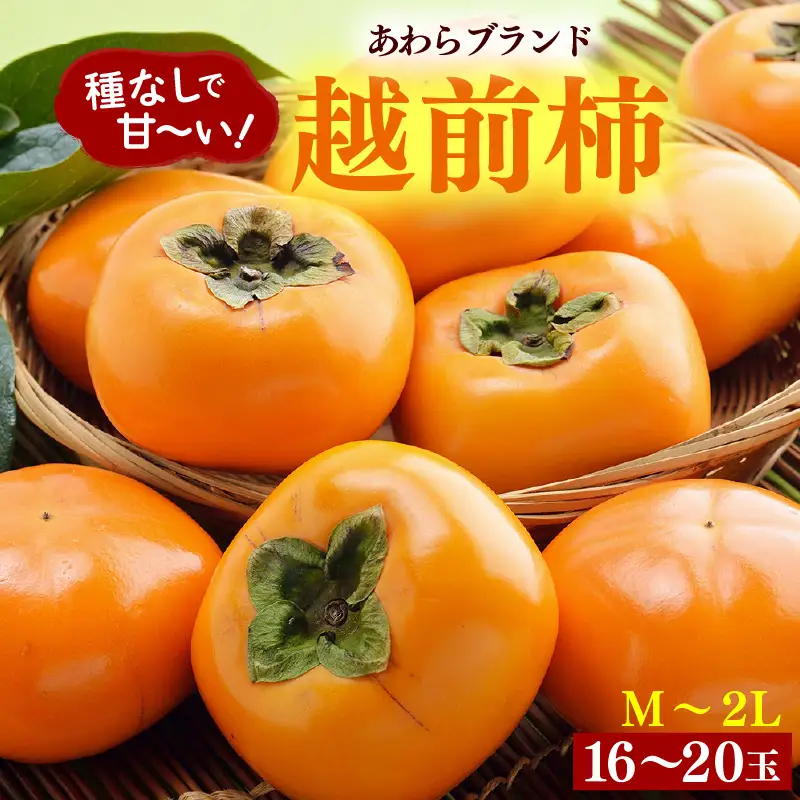 【先行予約】越前柿 16～20玉入 M～2L 《種なしで食べやすく甘い！》 あわらブランド ／ 期間限定 果物 フルーツ 産地直送 旬 お取り寄せ ※2026年10月中旬以降順次発送 [aw003-a006]