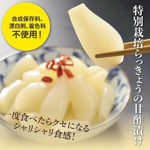 特別栽培らっきょうの甘酢漬（8袋セット）