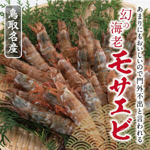 鳥取産 冷凍モサエビ
