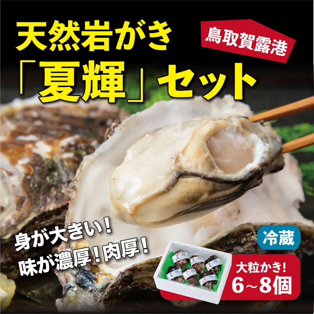鳥取賀露港 天然岩がき「夏輝」セット【かねまさ・浜下商店】