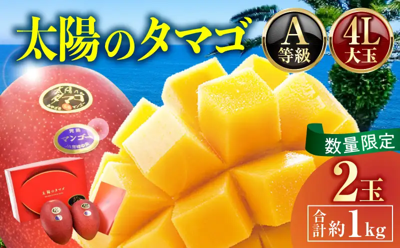 【2026年発送】【数量限定】宮崎県産 太陽のタマゴ A等級 4Lサイズ×2玉（合計約1kg）