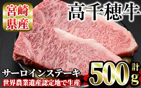高千穂牛 サーロインステーキ(250g×2枚)【MT013】【JAみやざき 高千穂牛ミートセンター】