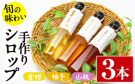 旬果工房てらすの手作りシロップ(柚子・山桃・金柑)(計3本)【TR001】【旬果工房てらす】