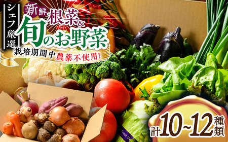 【野菜セット】旬野菜×根菜 詰め合わせ（10-12種）[AGBX012]
