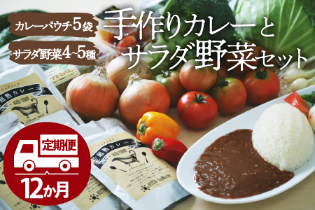 【全12回定期便】旬野菜×手作りカレーセット  /ヒロファミリーフーズ[AGBX027] カレー 定期便