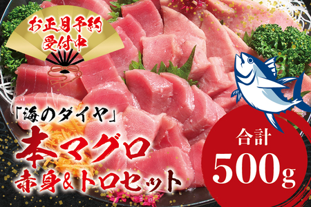 【お正月予約12月25日～29日に発送】本マグロ（養殖）トロ＆赤身セット 500g 高級 クロマグロ トロ まぐろ マグロ 鮪 刺身 赤身 柵 年内配送 年内発送 お正月 正月【nks110D-sg】