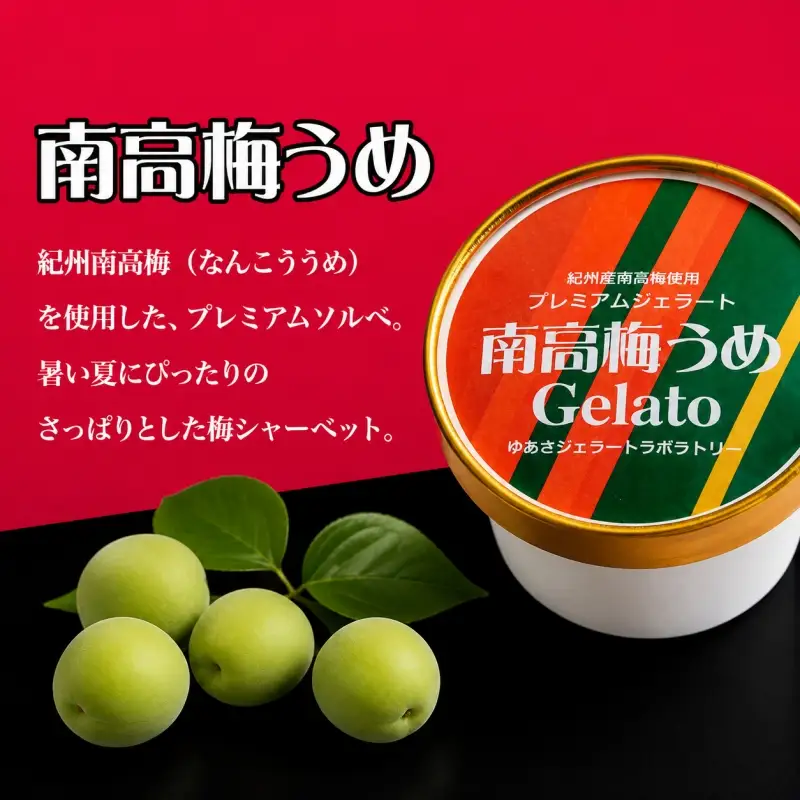 プレミアムジェラート 南高梅うめソルベ12個セット アイスクリームセット 100mlカップ ゆあさジェラートラボラトリー【kztb700-06】