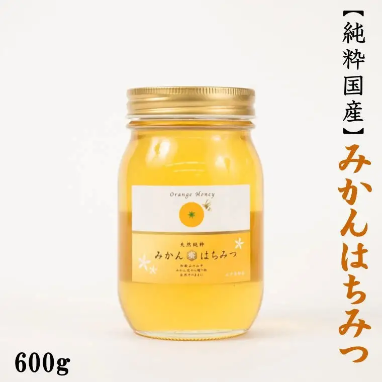 みかん王国和歌山県の下津で採れた純粋国産みかんはちみつ600g＜2026年7月中旬～2026年7月下旬頃より順次発送＞【tec508B】