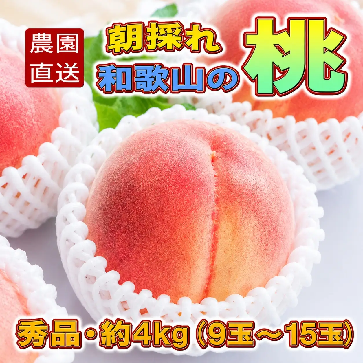 【農園直送】朝採れ和歌山の桃　約4kg・秀品【2026年度発送分】※2026年6月下旬～2026年8月上旬頃順次発送【tec911B】