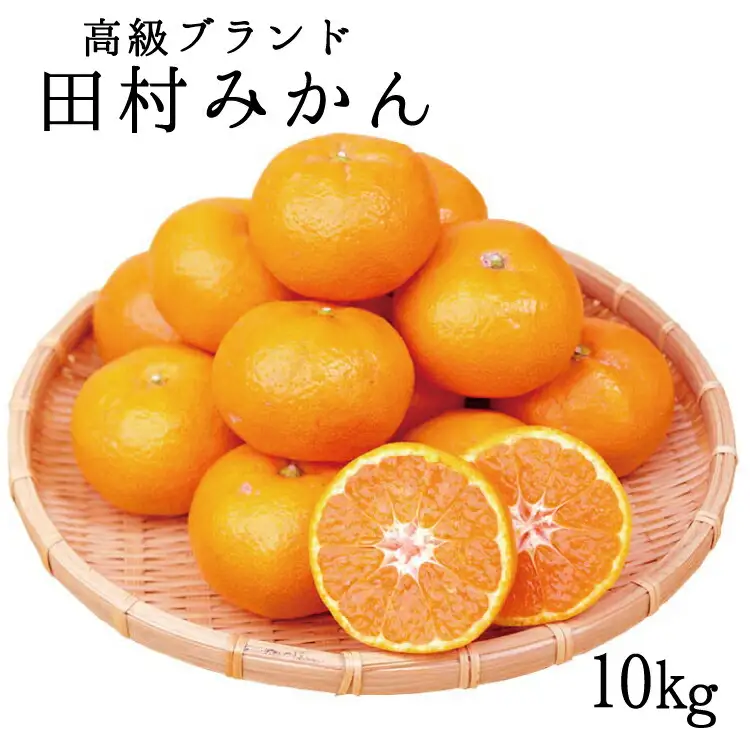【先行予約】高級ブランド田村みかん　10kg ※2026年11月下旬～2027年1月下旬頃に順次発送予定（お届け日指定不可）【uot505A】