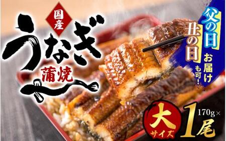 【国産 大型サイズ】ふっくら柔らか国産うなぎ蒲焼き 約２人前 化粧箱入  うなぎ 国産 特大【uot714A】
