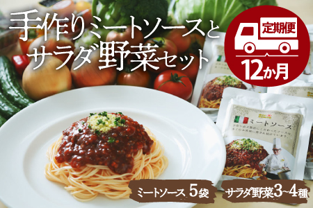 【全12回定期便】サラダ野菜×ミートソースセット /ヒロファミリーフーズ[AGBX031] ミートソース 定期便