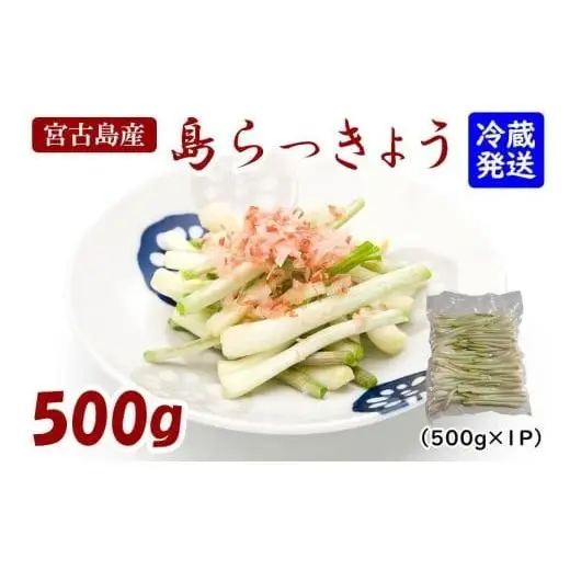 島らっきょう（500g）AZ106
