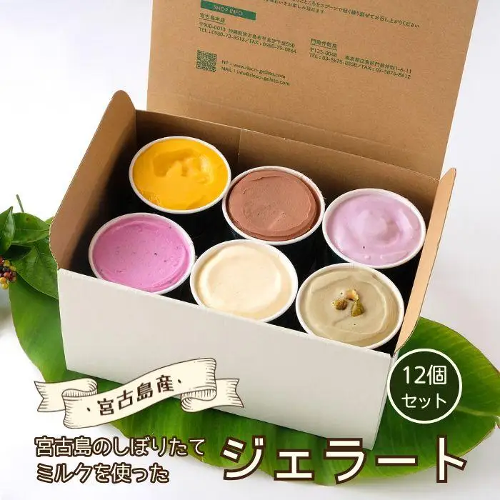 [宮古島] 素材が輝く RICCOジェラート12個セット | トロピカル 夏ギフト お中元 夏 クリスマス アイス 詰め合わせ セット ジェラート おやつ お菓子 スイーツ 母の日（C101）