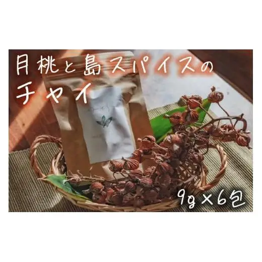 宮古島 ゆさらび　月桃と島スパイスのチャイ