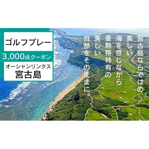 オーシャンリンクス宮古島　プレー3,000点クーポン