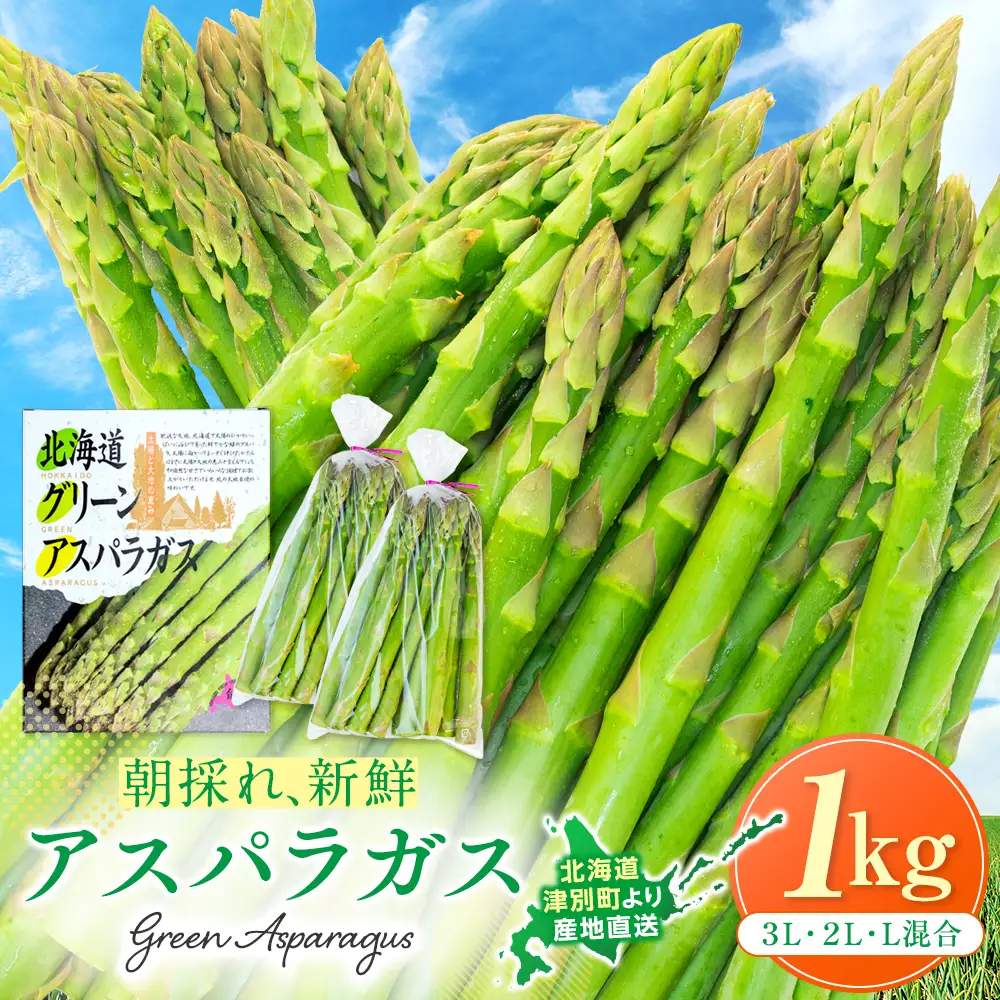 【先行受付】R8年産 アスパラガス 1kg 山内農園 | グリーンアスパラ グリーンアスパラガス アスパラ 大容量 野菜 春野菜 朝採れ 新鮮 極太 国産 サラダ 天ぷら 炒め物 家庭用 数量限定 旬 特産 産地直送 北海道 津別町 送料無料