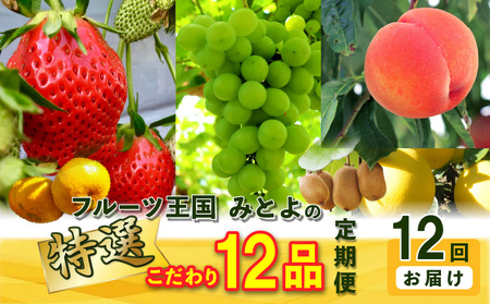 フルーツ王国みとよの特選こだわり12品定期便(12回)