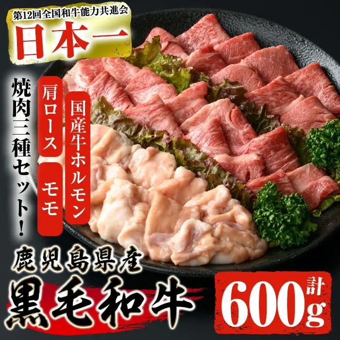 鹿児島県産 黒毛和牛 焼き肉セット (ロース モモ 国産牛ホルモン 各200g 計600g) 【ナンチク】A6-v01