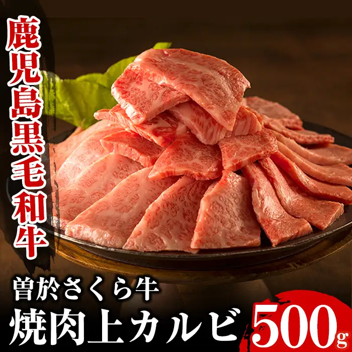 曽於さくら牛焼肉ギフト(上カルビ500g) 黒毛和牛 上カルビ 焼き肉【福永産業】A16-v01