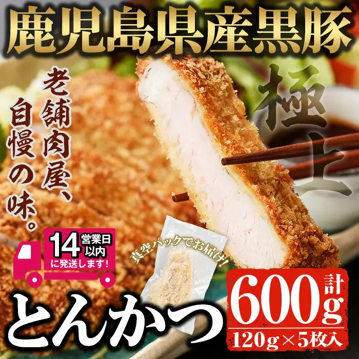 ＜14営業日以内発送＞ 鹿児島県産 黒豚 ロース とんかつ セット(120g×5枚・計600g) 国産 豚肉 冷凍【佐多精肉店】A25-v01