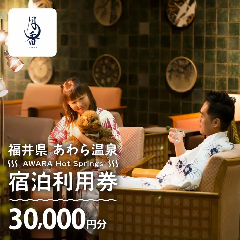 あわら温泉 宿泊利用券 30,000円分 ／ 宿泊券 利用券 旅館 ホテル チケット ペア 観光 旅行 愛犬 ペット可 ドッグラン [aw013-j010]