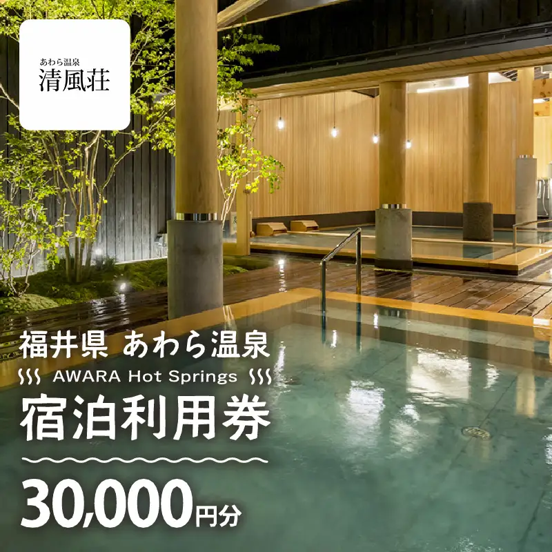あわら温泉 宿泊利用券 30,000円分 ／ 宿泊券 利用券 旅館 ホテル チケット ペア 観光 旅行 源泉 大浴場 露天風呂 [aw013-j011]