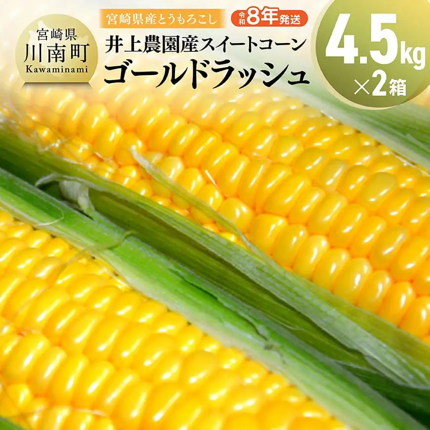 【令和8年発送】宮崎県産とうもろこし　井上農園産スイートコーン(ゴールドラッシュ)4.5kg×2 【 トウモロコシ スィートコーン 2026年発送 先行予約 数量限定 期間限定 】