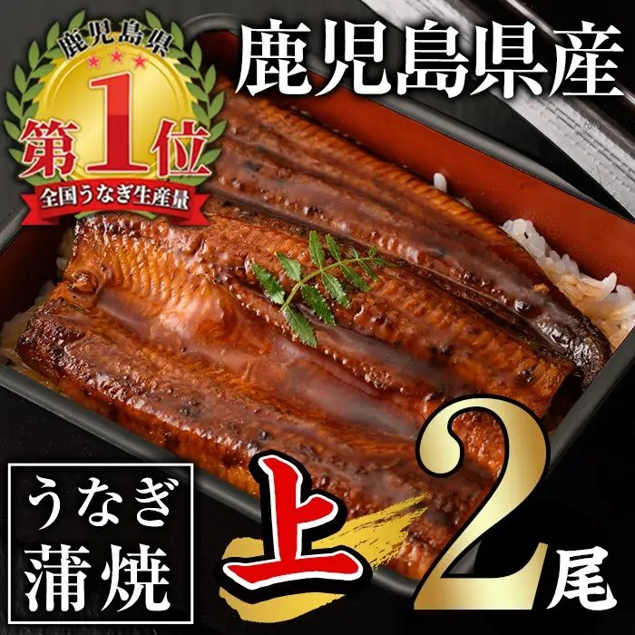 うなぎ 無投薬 鹿児島県産 ＜上＞(合計280g以上)  うなぎ 【西日本養鰻】A60-v01