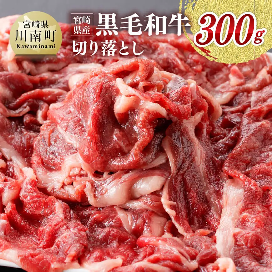 宮崎県産黒毛和牛切り落とし300g 【 牛肉 牛 肉 黒毛和牛 切り落とし 牛丼 】