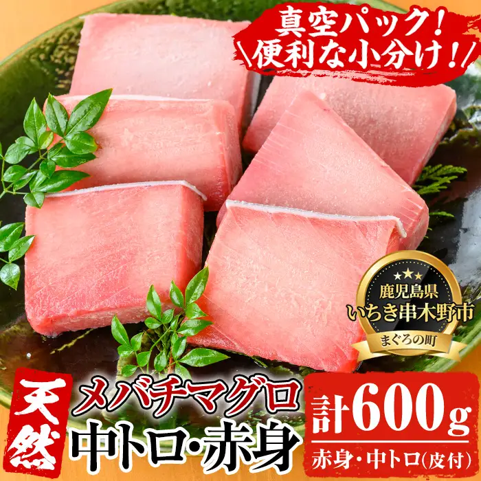 天然！メバチマグロ 600g （中トロ 200g 赤身 400g）【00-041-02】