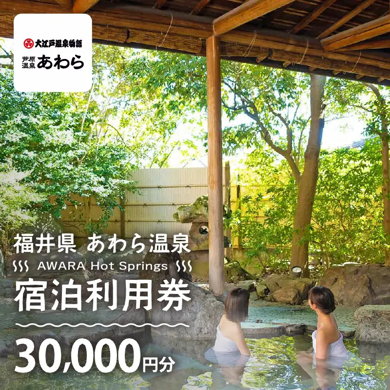 あわら温泉 宿泊利用券 30,000円分 ／ 宿泊券 利用券 旅館 ホテル チケット ペア 観光 旅行 源泉 大浴場 露天風呂 [aw013-j012]
