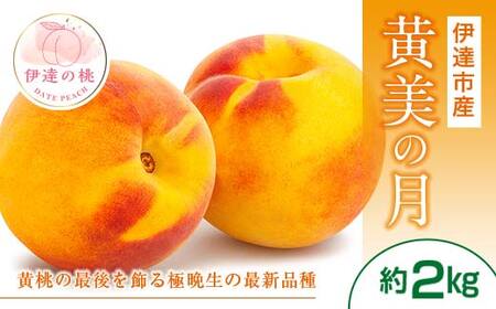 【2026年出荷分先行予約】福島県産 黄美の月 約2kg (5～7玉) 高橋もも園 大玉 伊達の桃 桃 フルーツ 果物 もも モモ momo F20C-464