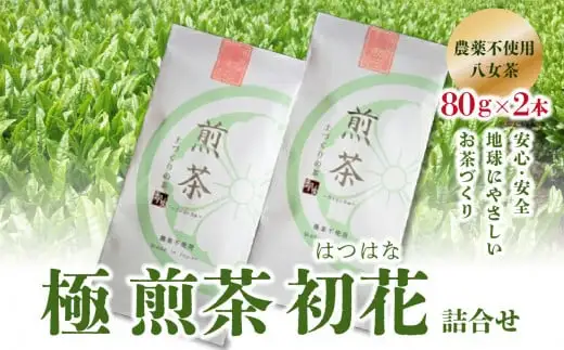 ＜農薬不使用八女茶＞極　煎茶初花詰合せ＜80g×2本＞ 041-001