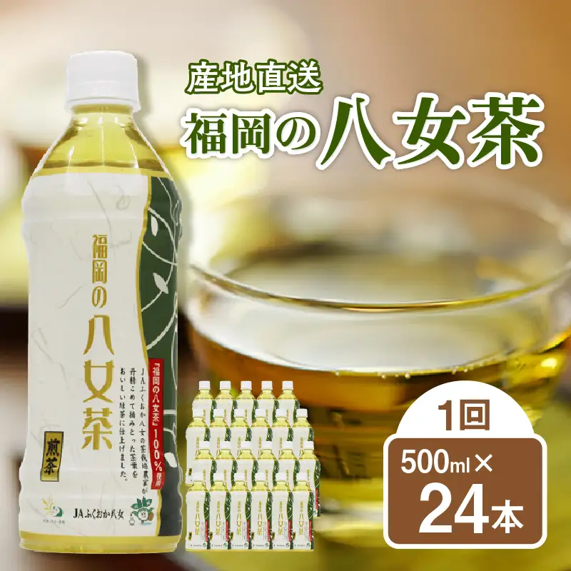 【産地直送】福岡の八女茶 煎茶ペットボトル（500ml×24本） 026-011