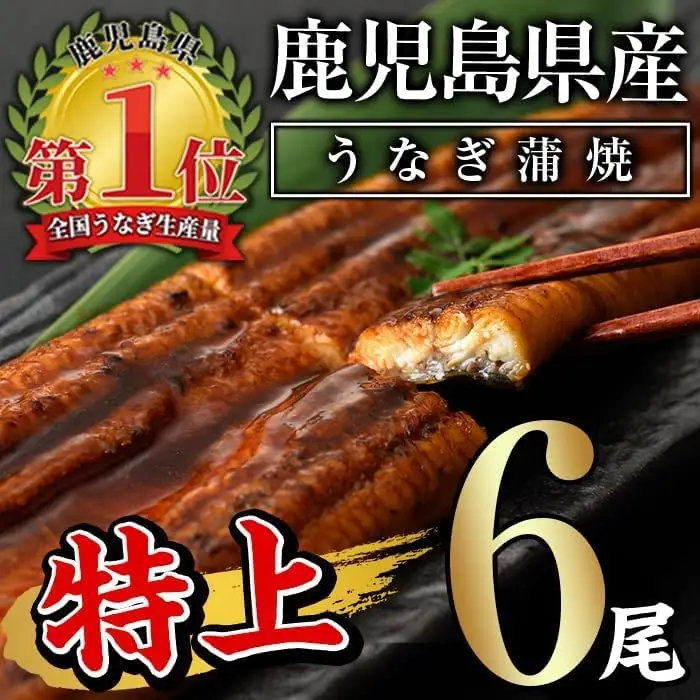 うなぎ 蒲焼 国産 ( 計960g以上・ 160g以上 × 6尾)  タレ・山椒付 うなぎ 【西日本養鰻】C7-v02