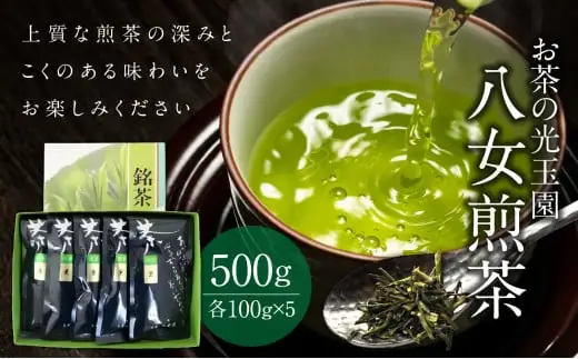 【お茶の光玉園】八女煎茶 100g×5本セット お茶 煎茶 緑茶 茶葉 八女茶 ギフト プレゼント 手土産 贈答用 福岡県 八女市 049-005