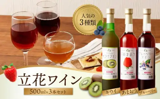 ワイン3本セット【あまおうワイン、キウイワイン、ブルーベリーワイン】　066-005