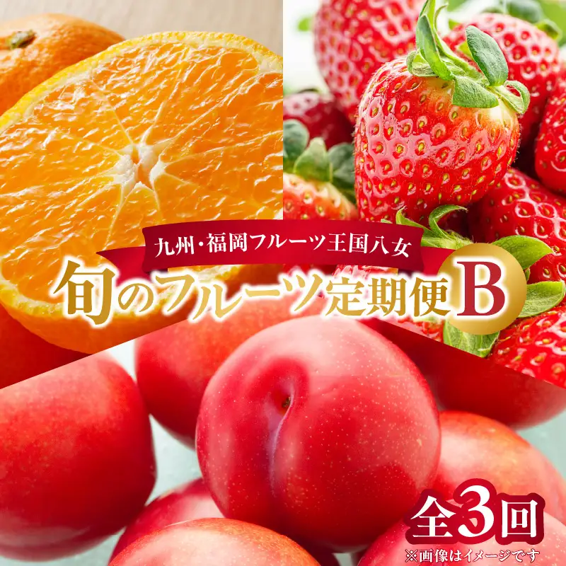 九州・福岡フルーツ王国八女 旬のフルーツ定期便【全3回】B ＜配送不可：北海道・沖縄・離島＞ フルーツ 定期便 あまおう みかん すもも 季節のフルーツ 果物 おすすめ セット 産地直送 福岡県 八女市 072-T002