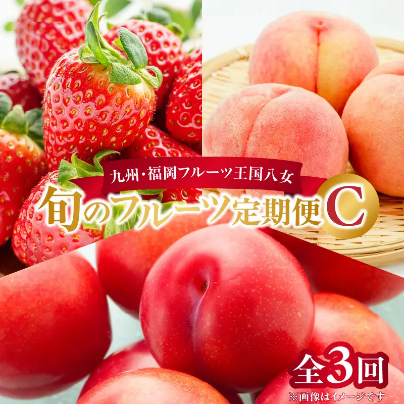 九州・福岡フルーツ王国八女 旬のフルーツ定期便【全3回】C ＜配送不可：北海道・沖縄・離島＞